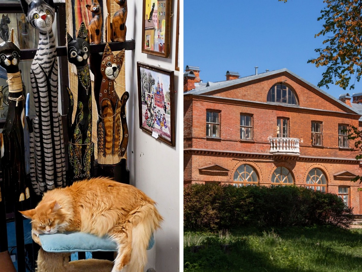 Маленький и богатый – Всеволожск и его жемчужины (с посещением Музея-усадьбы «Приютино», Музея «Дом авиаторов» и Музея кошки с чаепитием)