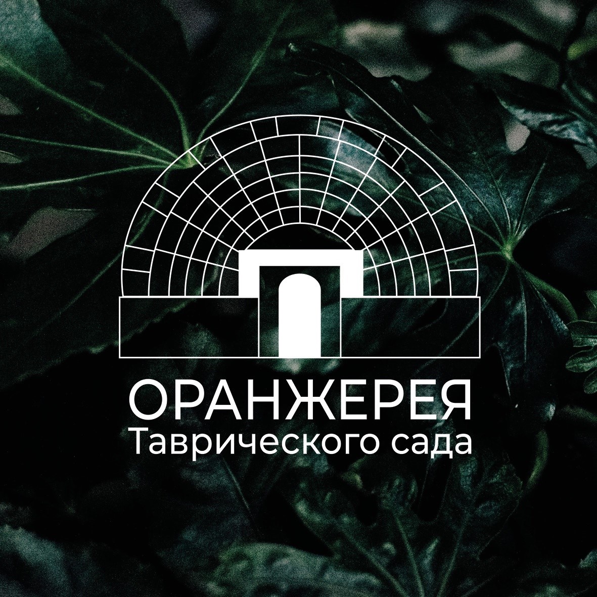 Оранжерея Таврического сада